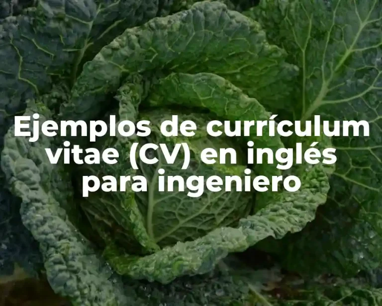 Ejemplos de currículum vitae (CV) en inglés para ingeniero