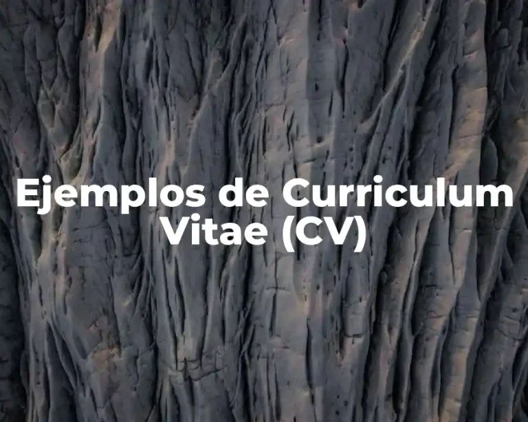 Ejemplos de Curriculum Vitae (CV)