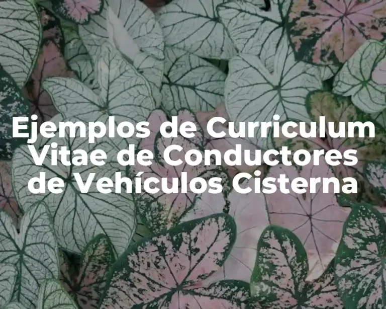 Ejemplos de Curriculum Vitae de Conductores de Vehículos Cisterna