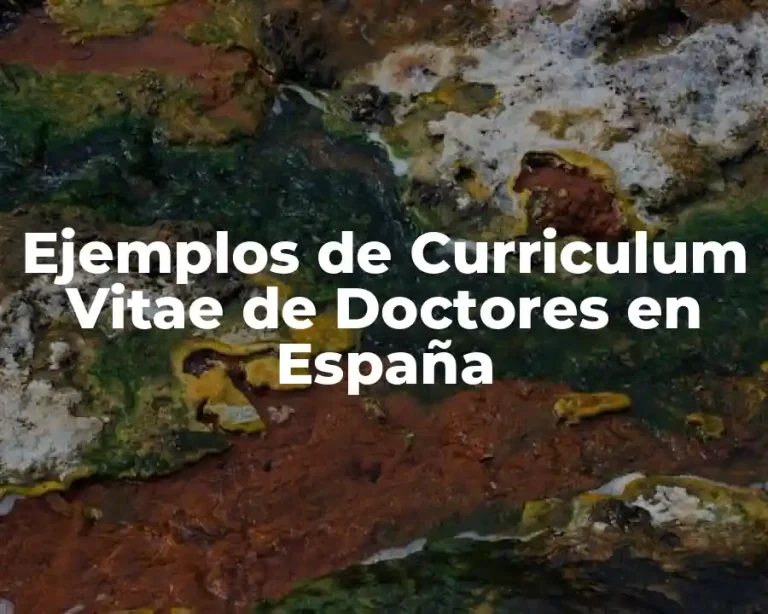 Ejemplos de Curriculum Vitae de Doctores en España