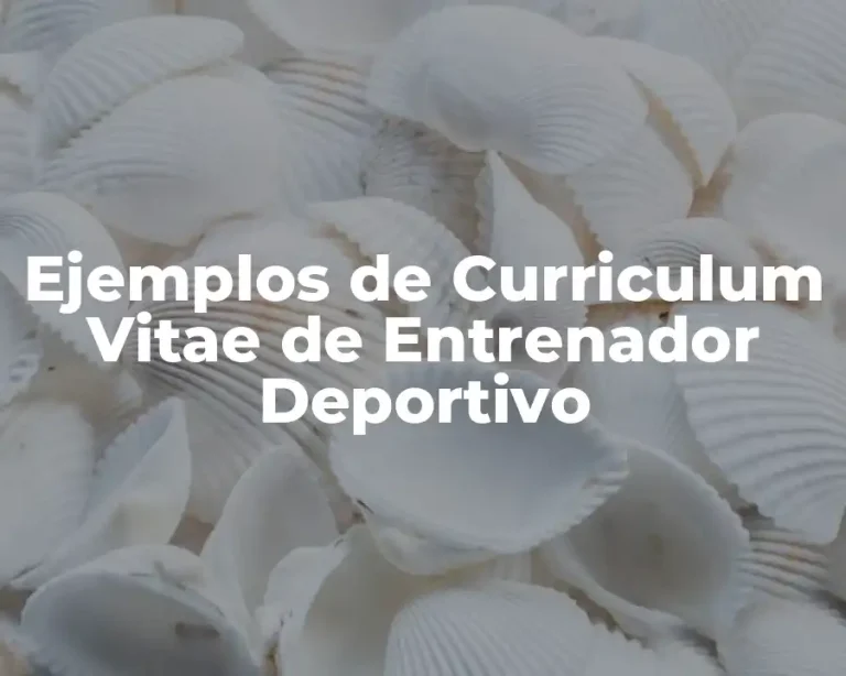 Ejemplos de Curriculum Vitae de Entrenador Deportivo