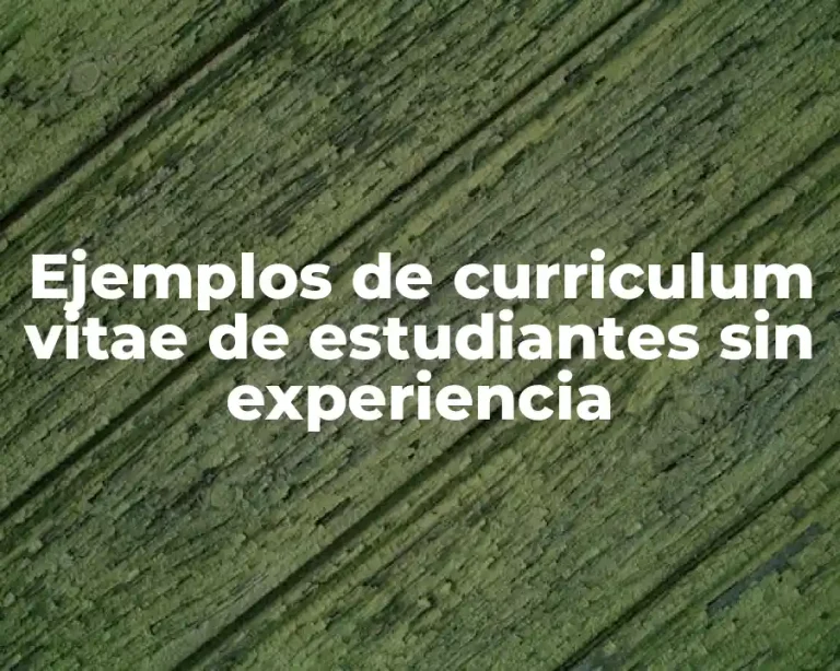 Ejemplos de curriculum vitae de estudiantes sin experiencia