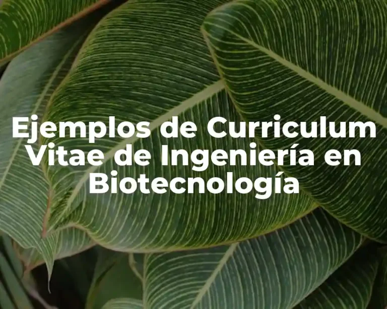 Ejemplos de Curriculum Vitae de Ingeniería en Biotecnología