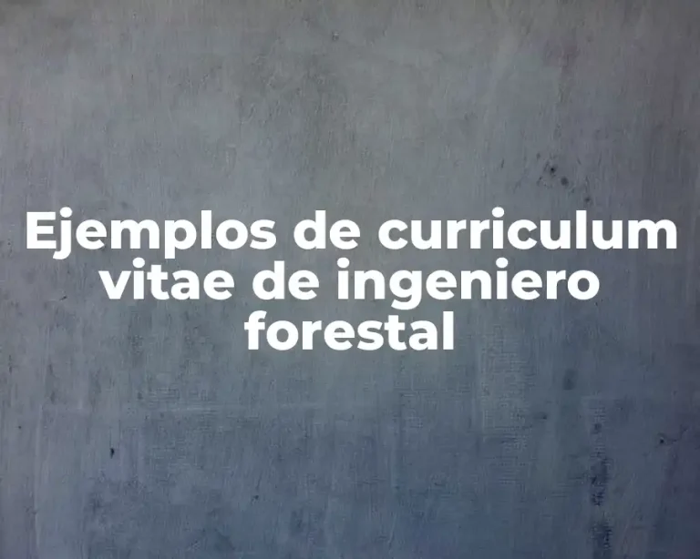 Ejemplos de curriculum vitae de ingeniero forestal