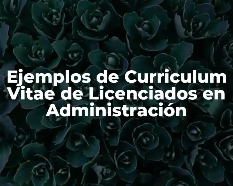 Ejemplos de Curriculum Vitae de Licenciados en Administración