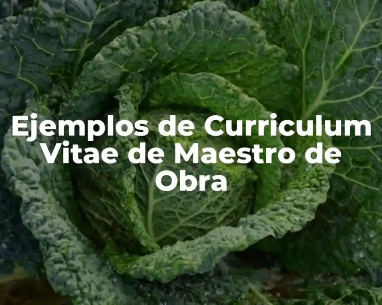 Ejemplos de Curriculum Vitae de Maestro de Obra
