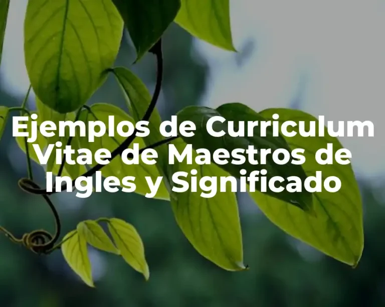 Ejemplos de Curriculum Vitae de Maestros de Ingles y Significado