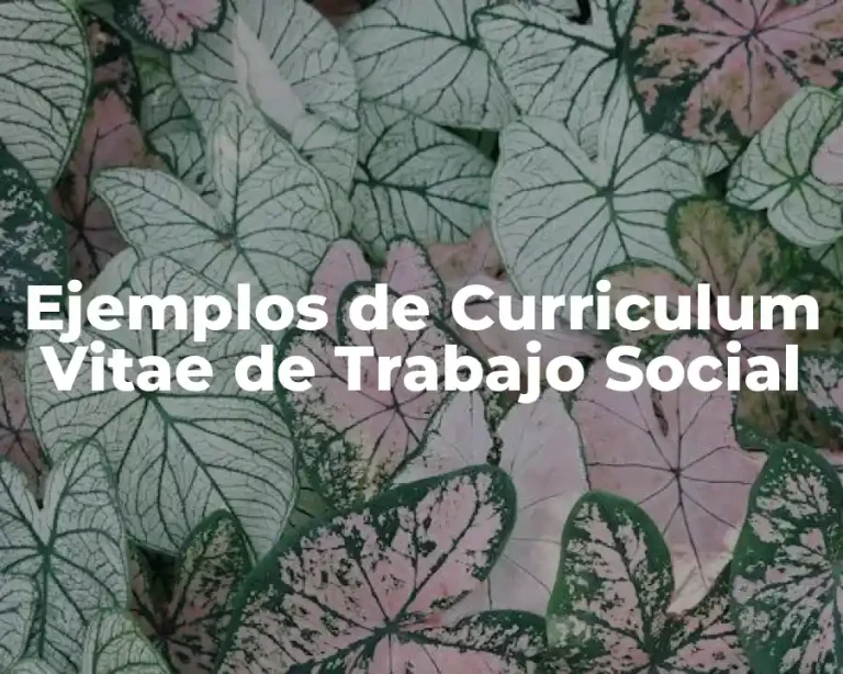 Ejemplos de Curriculum Vitae de Trabajo Social