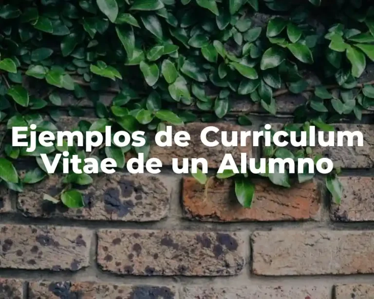Ejemplos de Curriculum Vitae de un Alumno