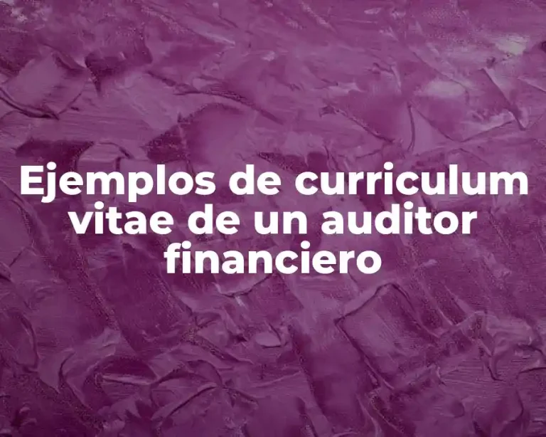 Ejemplos de curriculum vitae de un auditor financiero