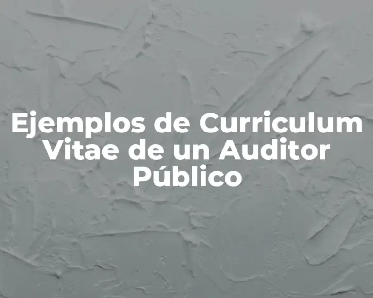 Ejemplos de Curriculum Vitae de un Auditor Público