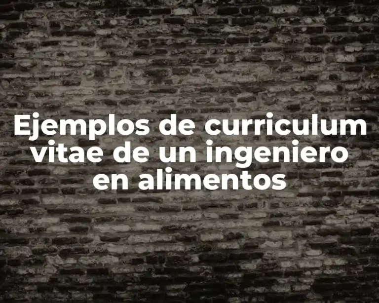 Ejemplos de curriculum vitae de un ingeniero en alimentos