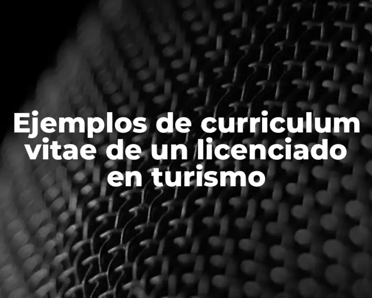 Ejemplos de curriculum vitae de un licenciado en turismo