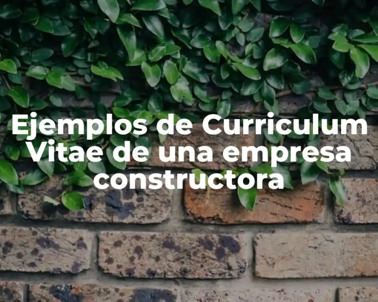 Ejemplos de Curriculum Vitae de una empresa constructora