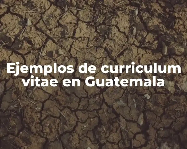 Ejemplos de curriculum vitae en Guatemala