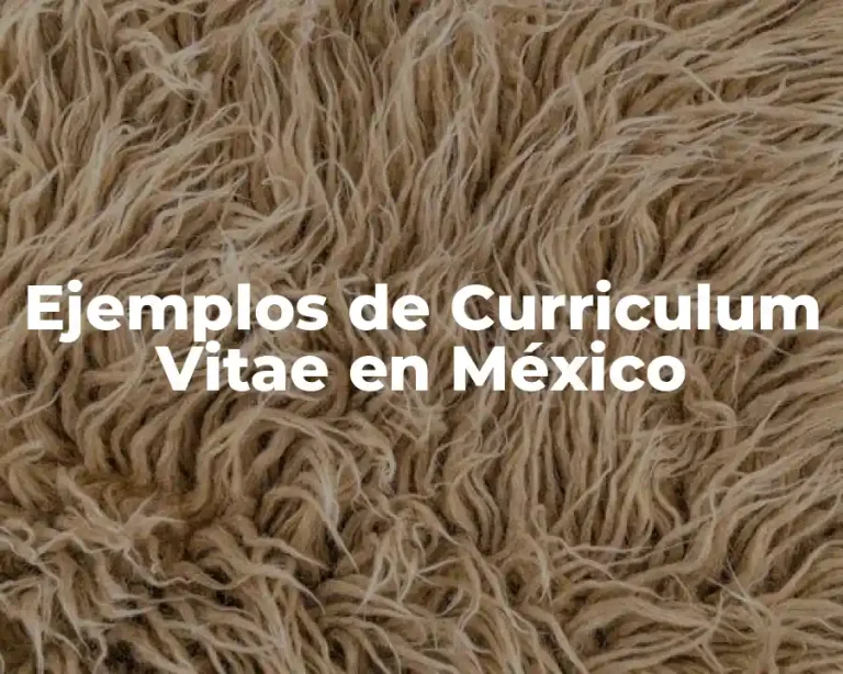 Ejemplos de Curriculum Vitae en México
