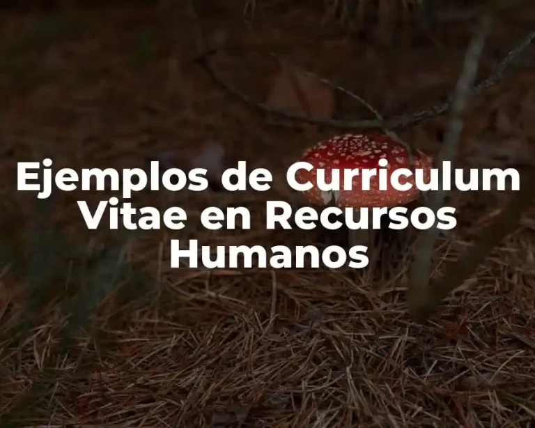 Ejemplos de Curriculum Vitae en Recursos Humanos