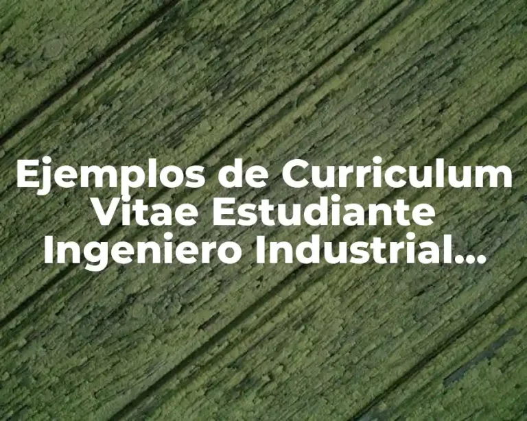 Ejemplos de Curriculum Vitae Estudiante Ingeniero Industrial Scribd