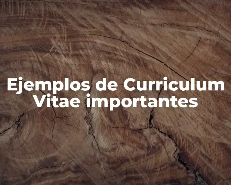 Ejemplos de Curriculum Vitae importantes