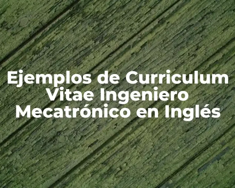 Ejemplos de Curriculum Vitae Ingeniero Mecatrónico en Inglés