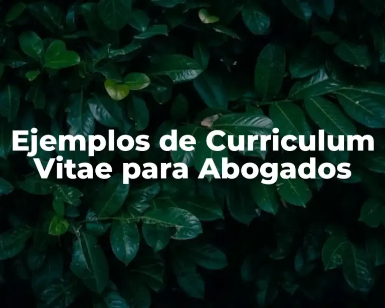 Ejemplos de Curriculum Vitae para Abogados