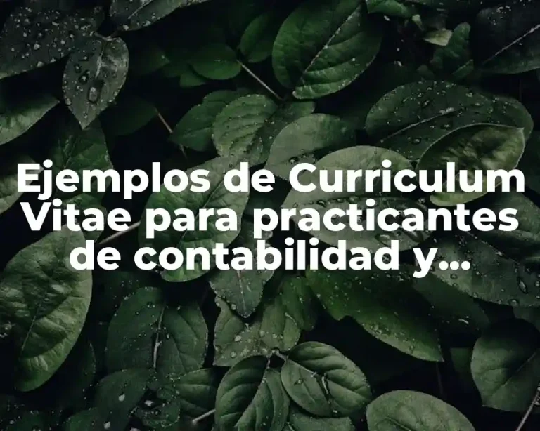 Ejemplos de Curriculum Vitae para practicantes de contabilidad y Significado