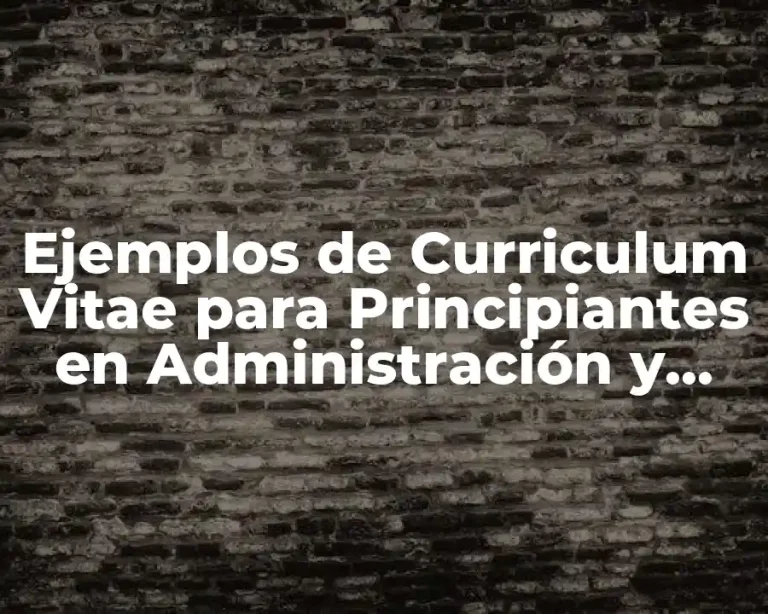 Ejemplos de Curriculum Vitae para Principiantes en Administración y Significado