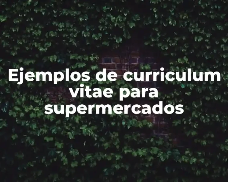 Ejemplos de curriculum vitae para supermercados