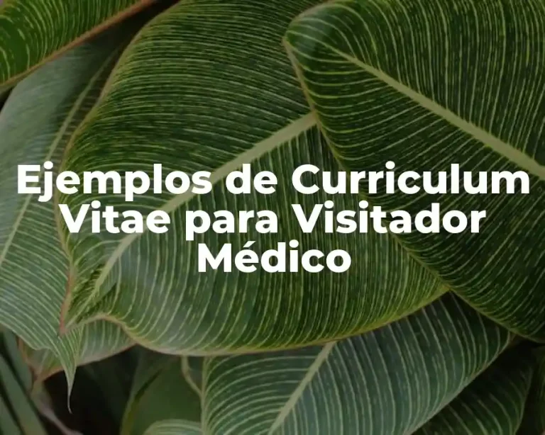 Ejemplos de Curriculum Vitae para Visitador Médico