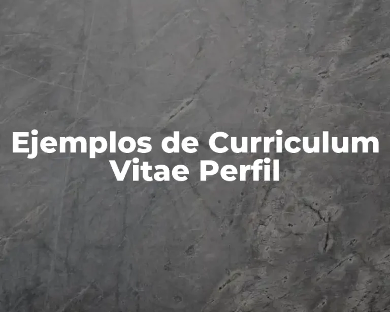Ejemplos de Curriculum Vitae Perfil