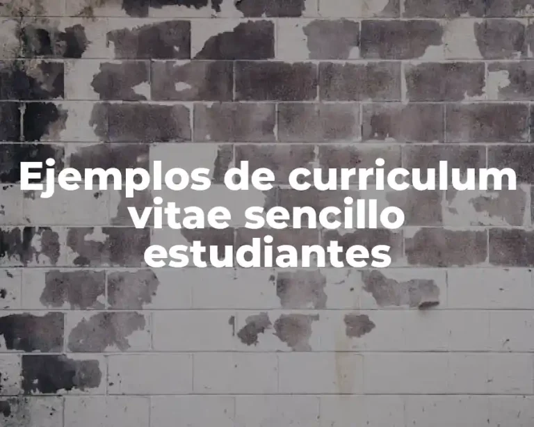 Ejemplos de curriculum vitae sencillo estudiantes