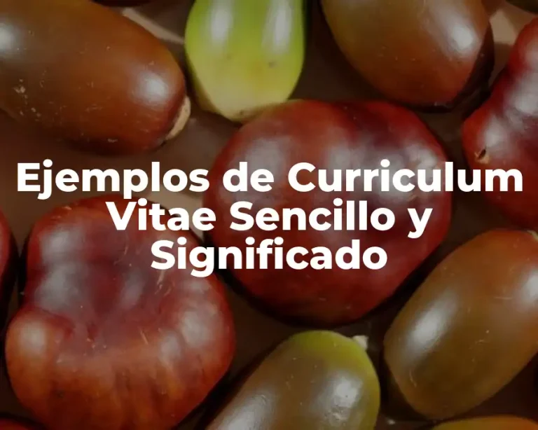Ejemplos de Curriculum Vitae Sencillo y Significado