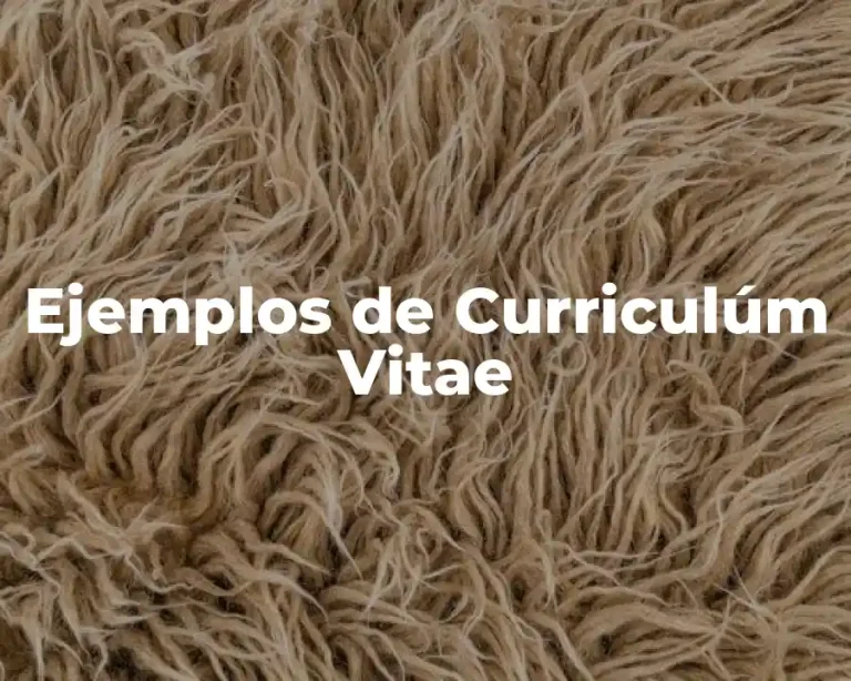 Ejemplos de Curriculúm Vitae