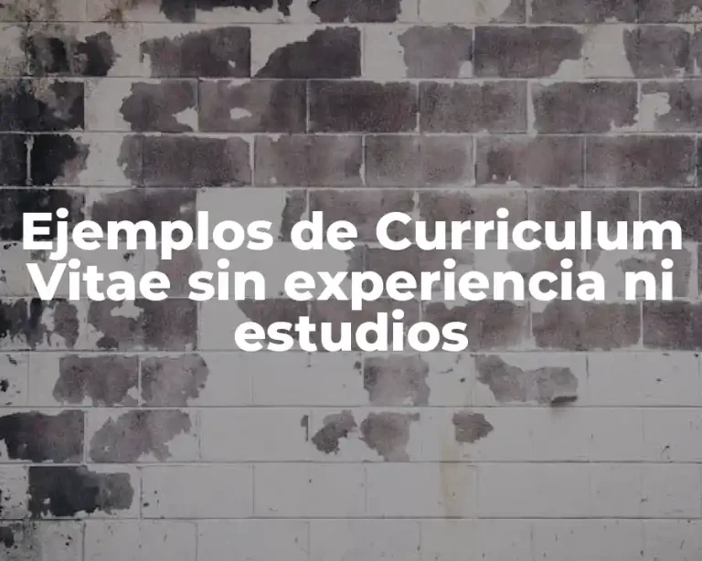 Ejemplos de Curriculum Vitae sin experiencia ni estudios