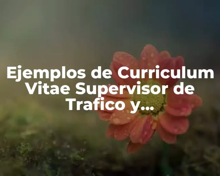 Ejemplos de Curriculum Vitae Supervisor de Trafico y Mantenimiento