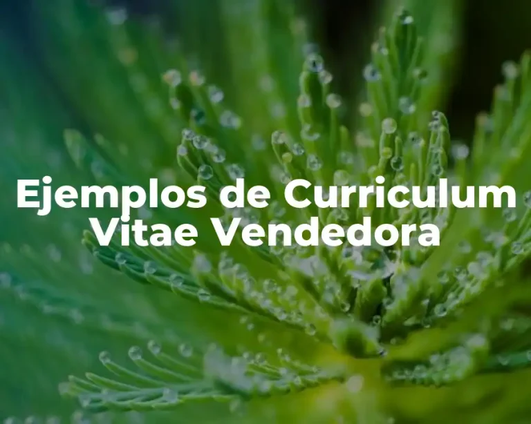 Ejemplos de Curriculum Vitae Vendedora