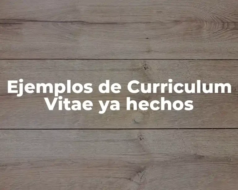 Ejemplos de Curriculum Vitae ya hechos