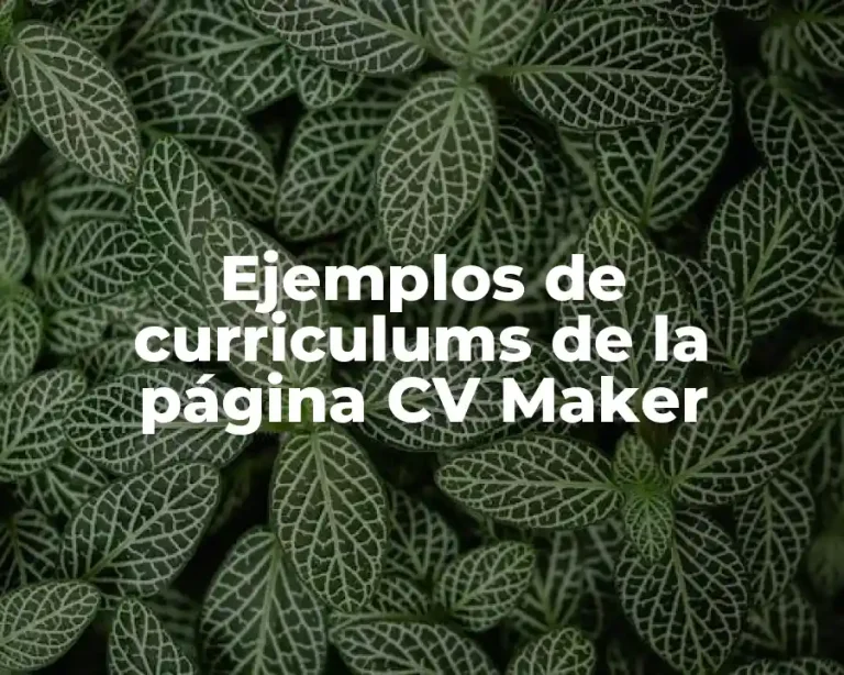 Ejemplos de curriculums de la página CV Maker