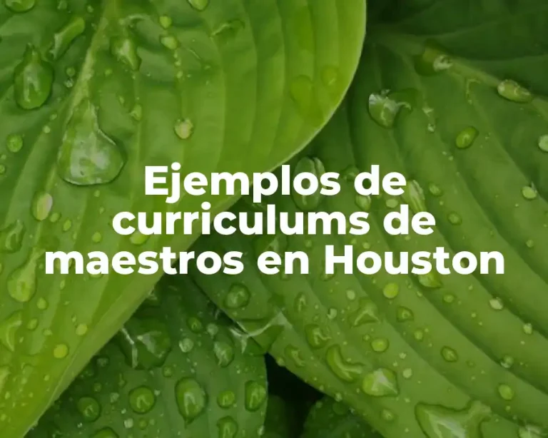 Ejemplos de curriculums de maestros en Houston