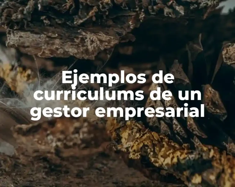 Ejemplos de curriculums de un gestor empresarial