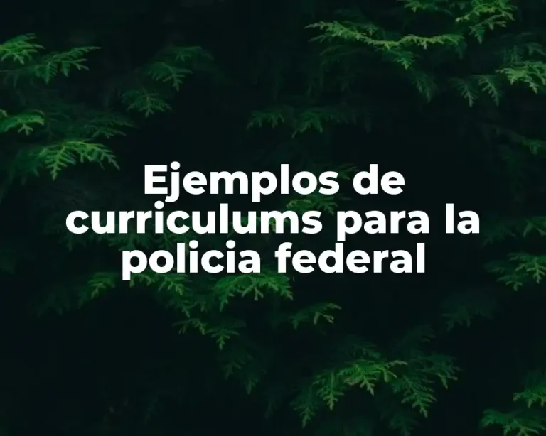 Ejemplos de curriculums para la policia federal