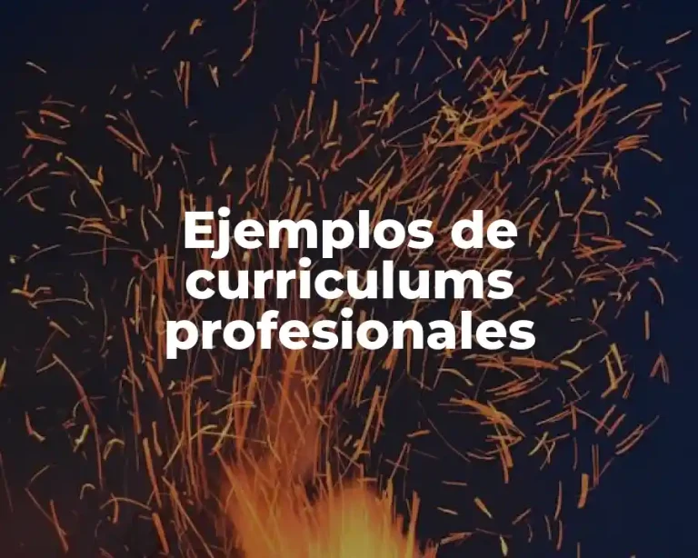 Ejemplos de curriculums profesionales
