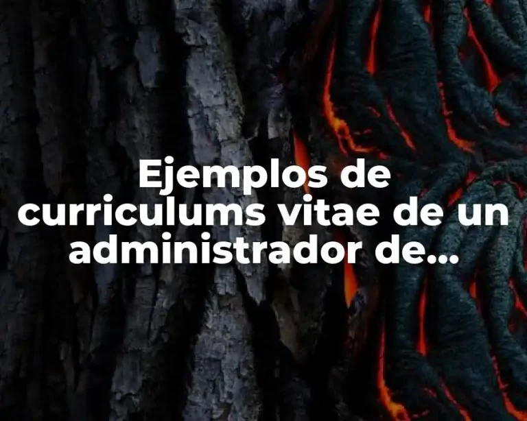 Ejemplos de curriculums vitae de un administrador de recursos humanos y Significado
