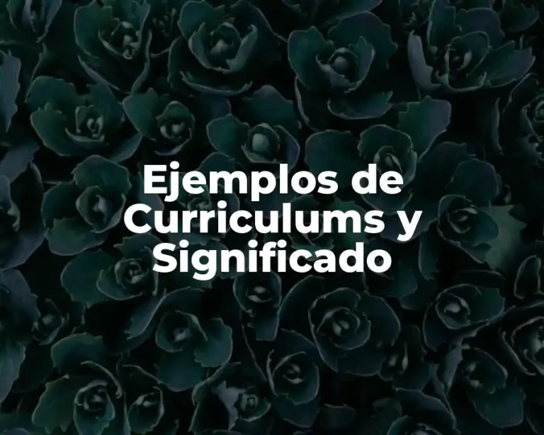 Ejemplos de Curriculums y Significado