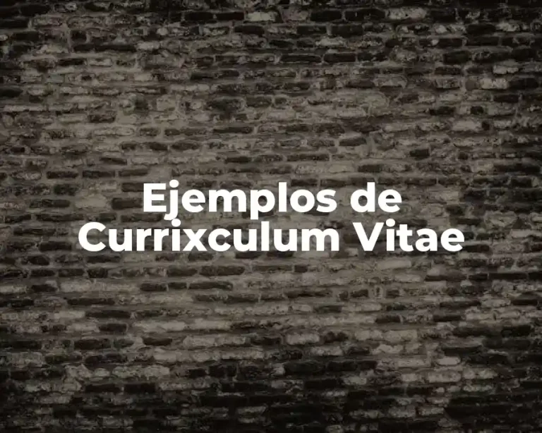 Ejemplos de Currixculum Vitae