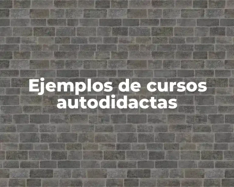 Ejemplos de cursos autodidactas
