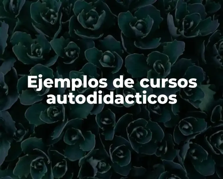 Ejemplos de cursos autodidacticos