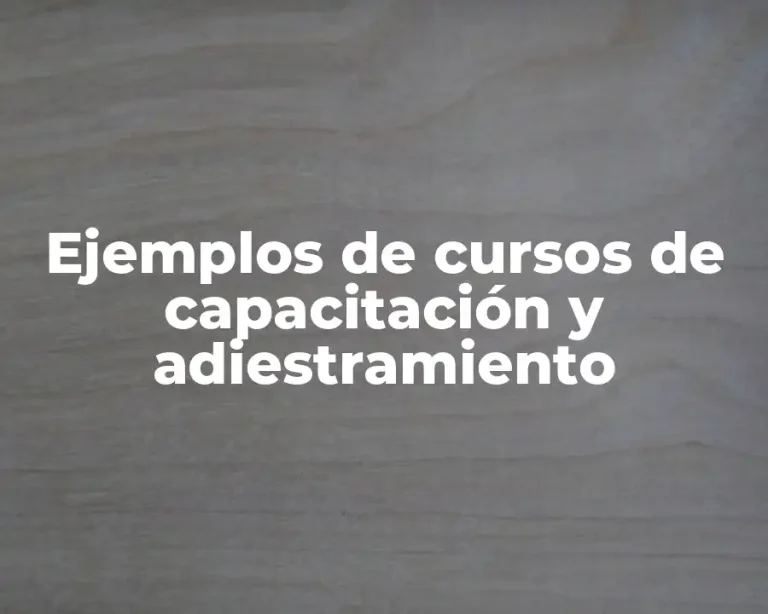 Ejemplos de cursos de capacitación y adiestramiento