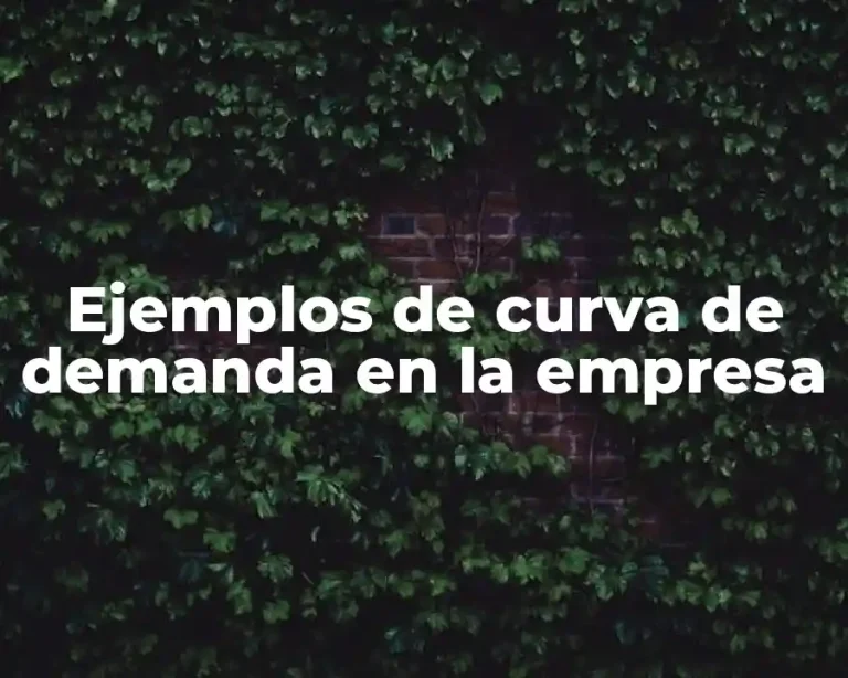 Ejemplos de curva de demanda en la empresa