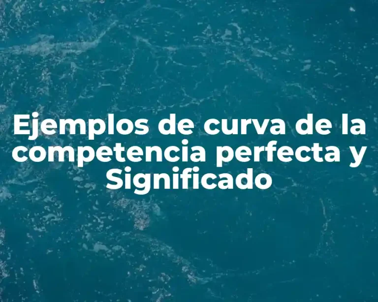 Ejemplos de curva de la competencia perfecta y Significado